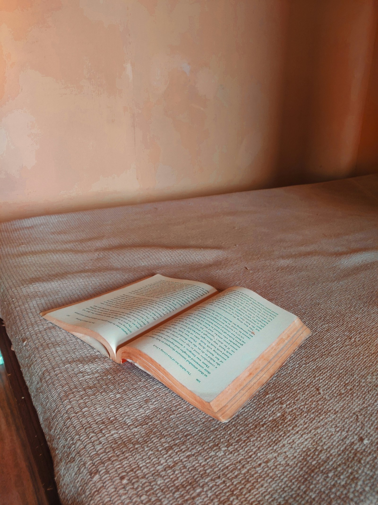 The Forgotten Journal of 1911